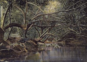 Et hjørne av Pautana av European Photographer